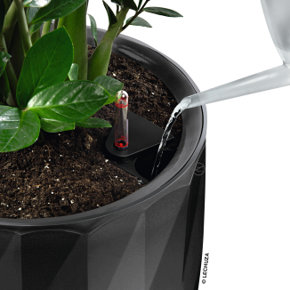 Lechuza Diamante Premium 40 flowerpot, black gloss - 8