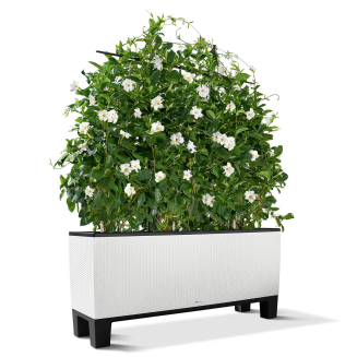  Base for Lechuza Trio 30 flower pots | 40 - 4