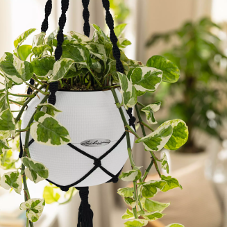  Lechuza Makramee suspension, black, for Puro pots - 2