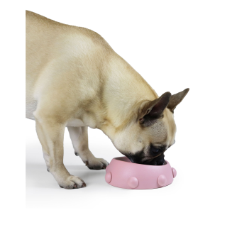 Miska dla psa i kota United Pets Boss Nano 160 ml kolor różowy - 2