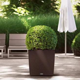  Lechuza Cube Cottage 30 planter | 40 | 50 sand brown - 12