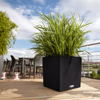  Lechuza Cube Cottage 30 planter | 40 | 50 sand brown - 13