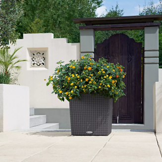  Lechuza Cube Cottage 30 planter | 40 | 50 sand brown - 11