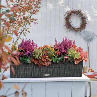  Lechuza Balconera Cottage 50 planter | 80 granite - 9