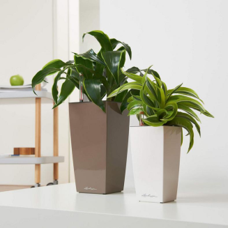  Lechuza Mini Cubi flowerpot | Maxi Cubi white gloss - 10