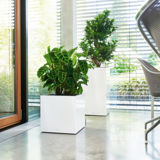 Lechuza Canto Premium 40 LED flowerpot, glossy white column - 7