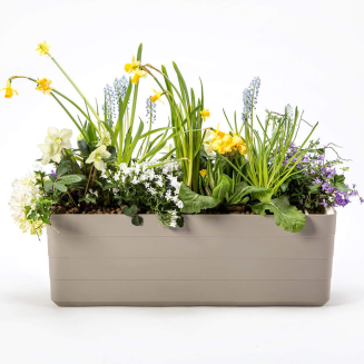 PLASTIA BERBERIS Donica samonawadniająca prostokątna 60x20 cm jasnoszary - 4