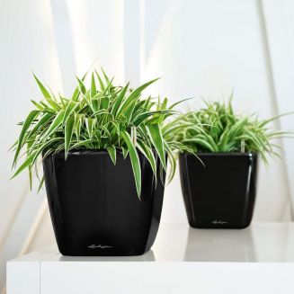  Lechuza Quadro Premium LS 21 flowerpot | 28 | 35 | 43 | 50 gloss black - 9