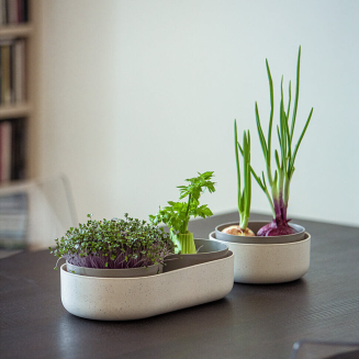 PLASTIA Pojemnik do ponownej uprawy warzyw z filtrem kremowy - 5