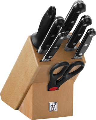  Set of 5 knives in a wooden block Zwilling Professional S