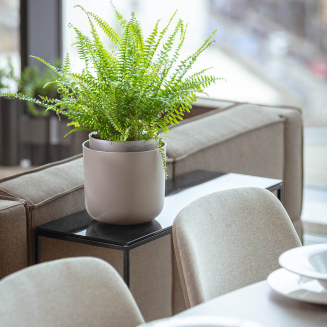 PLASTIA TOLITA Donica samonawadniająca okrągła 19 cm jasnoszary - 5