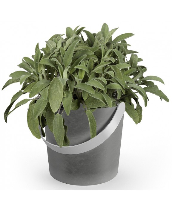 Zack Tardo flower pot 14 cm