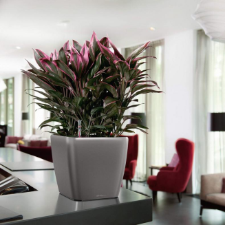  Lechuza Quadro Premium LS 21 flowerpot | 28 | 35 | 43 | 50 anthracite metallic - 10