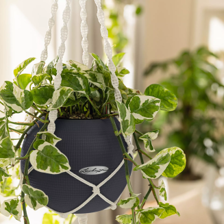 Lechuza Makramee suspension, white, for Puro pots - 2