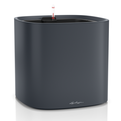  Lechuza Pila Color 35 grey