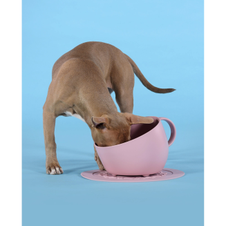 Miska dla psa United Pets Cup 2500 ml różowa - 2