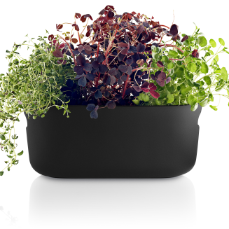 Eva Solo Black Self-Watering Herb Pot 31 cm - 2