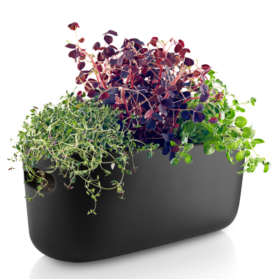 Eva Solo Black Self-Watering Herb Pot 31 cm