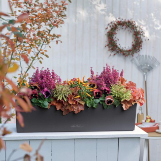  Lechuza Balconera Color 50 planter, slate gray - 6