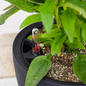  Lechuza Classico Color LS 21 flowerpot | 28 | 35 | 43 white - 9