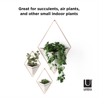  Umbra Trigg Concrete-Copper Large wall plant pot - 10