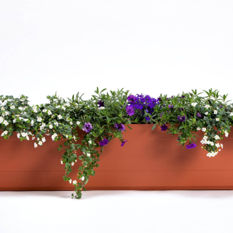 PLASTIA BERBERIS Donica samonawadniająca prostokątna 80x20 cm cynamonowy - 3