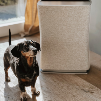  Stadler Form Roger Little 2 air purifier white | BUY CHEAPER WITH A DISCOUNT CODE - 6