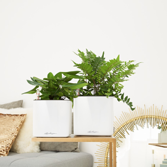  Lechuza Cube Glossy 14 herb pot | 16 glossy anthracite - 8