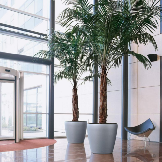  Lechuza Classico Premium 60 flowerpot | 70 red gloss - 11