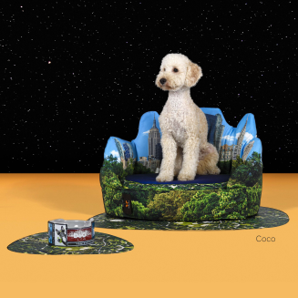 Legowisko dla psa United Pets New York z matą - 2