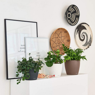  Lechuza Classico Color 18 flowerpot | 21 | 28 | 35 | 43 nutmeg - 10