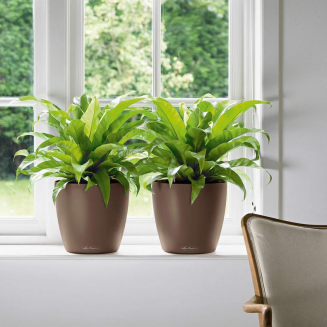  Lechuza Classico Color 18 flowerpot | 21 | 28 | 35 | 43 nutmeg - 11