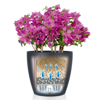  Lechuza Classico Color 18 flowerpot | 21 | 28 | 35 | 43 nutmeg - 3