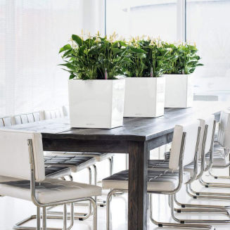  Lechuza Cube Premium 30 flowerpot | 40 | 50 anthracite metallic - 11