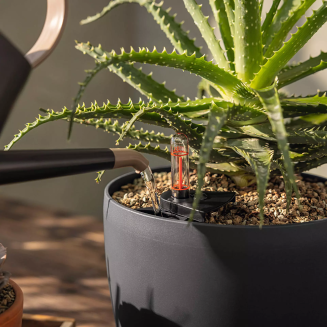 Lechuza Basicpon substrate 6l - 4