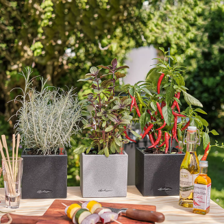  Lechuza Canto Stone flowerpot 14 cubes, black graphite - 9