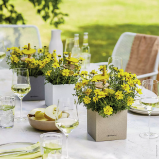  Lechuza Canto Stone flowerpot 14 cubes, black graphite - 7