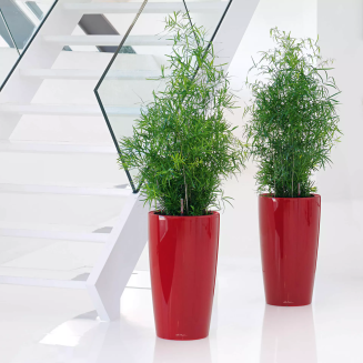  Lechuza Rondo Premium 32 flowerpot | 40 red gloss - 6