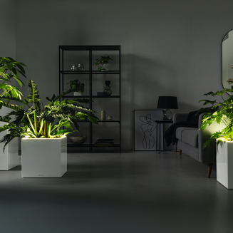 Lechuza Canto Premium 40 LED cube flowerpot, white gloss - 4