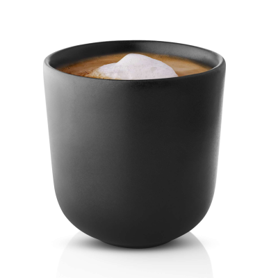  Thermal mug Eva Solo Nordic Kitchen 250 ml