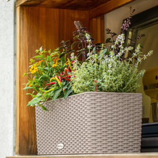  Lechuza Balconera Cottage 50 planter | 80 sand brown - 9