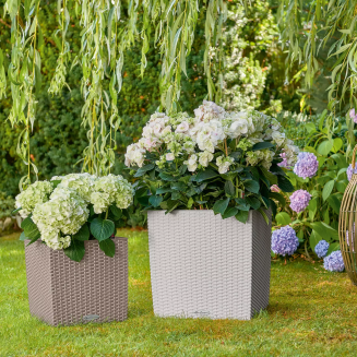  Lechuza Cube Cottage 30 planter | 40 | 50 graphite black - 13