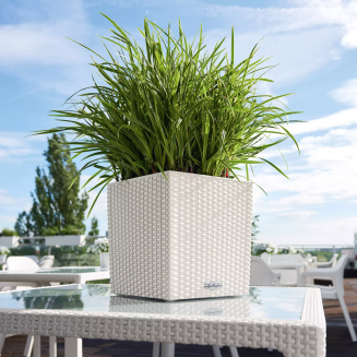  Lechuza Cube Cottage 30 planter | 40 | 50 white - 10