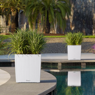  Lechuza Cube Cottage 30 planter | 40 | 50 white - 11