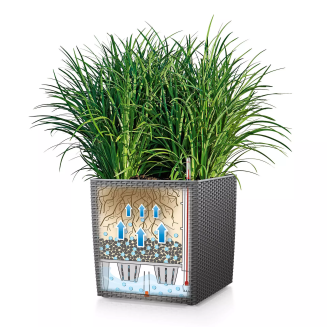  Lechuza Cube Cottage 30 planter | 40 | 50 white - 3