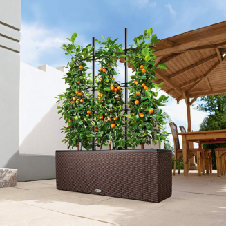  Lechuza Trio Cottage 30 planter | 40 sand brown - 7