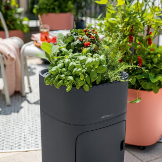  Lechuza Pila Color plant bowl, light gray - 11