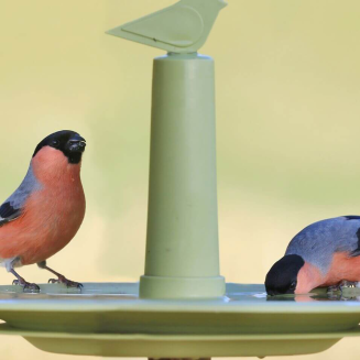 PLASTIA FINCH Karmnik dla ptaków 32 cm zielony - 3