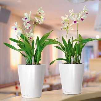  Lechuza plant pot Deltini taupe gloss - 6