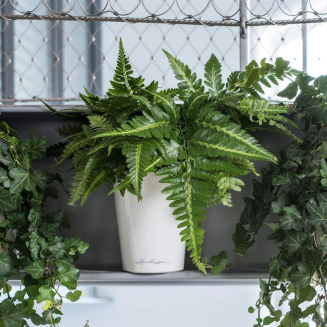  Lechuza plant pot Deltini taupe gloss - 7